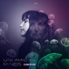 Schallplatte Elena Setién - Unfamiliar Minds (LP)