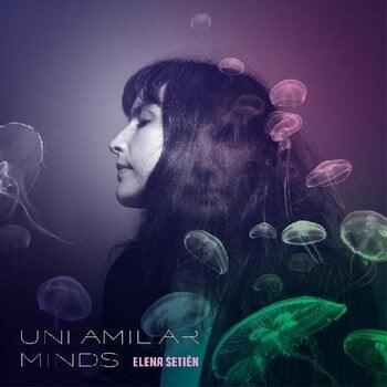 Schallplatte Elena Setién - Unfamiliar Minds (LP) - 1