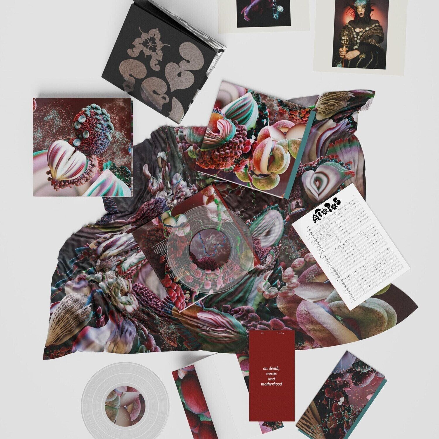 Płyta winylowa Björk - Fossoræ (Box Set) (Crystal Clear Coloured) (2 x 10")