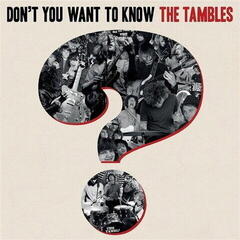 Vinyylilevy The Tambles - Don't You Want To Know The Tambles? (LP)