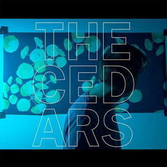 LP John Vanderslice - The Cedars (LP)