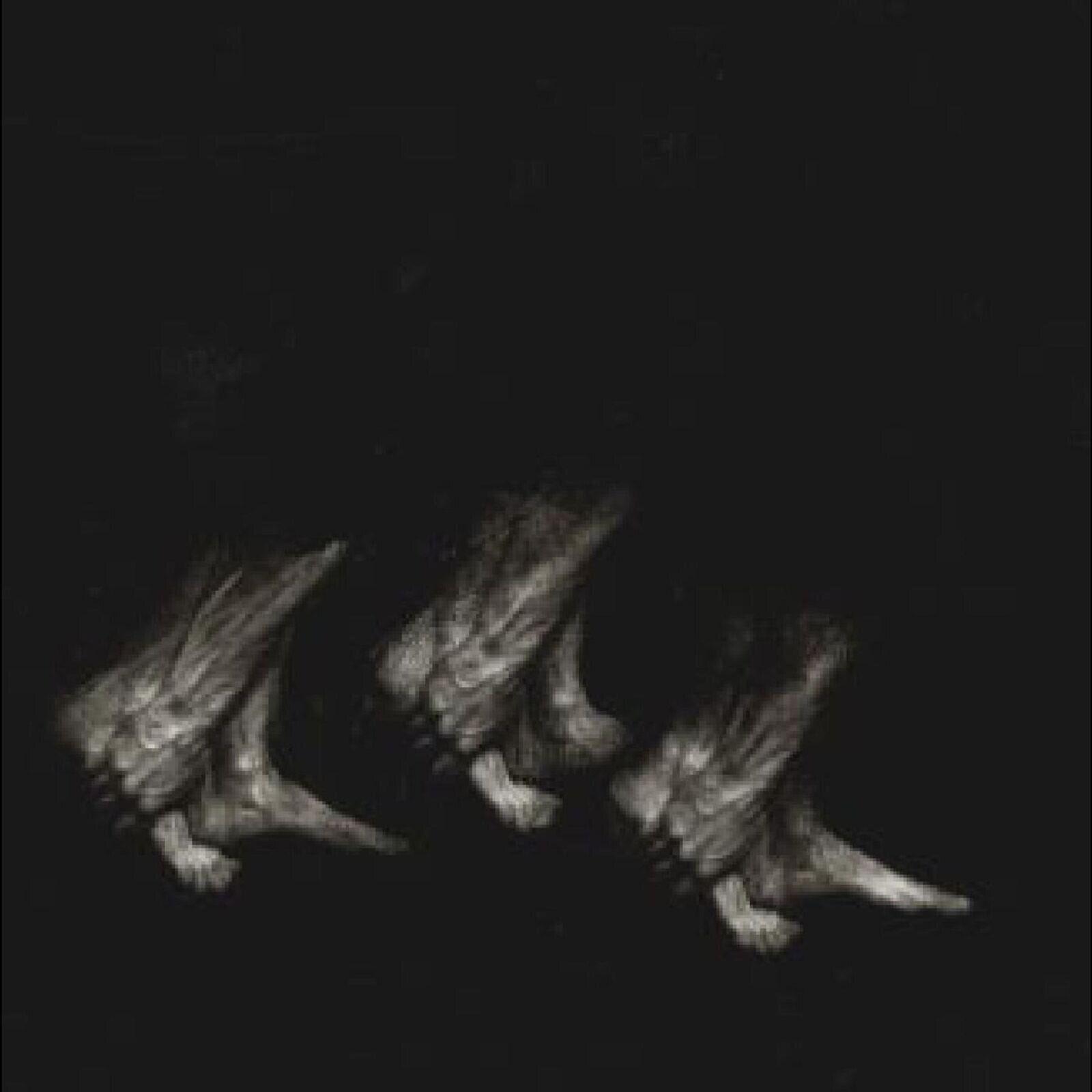 LP platňa Leonov - Procession (LP)