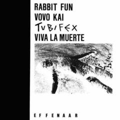 Disco de vinil Various Artists - Effenaar (LP)