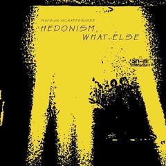 Disque vinyle Mathias Schaffhäuser - Hedonism, What Else (LP)