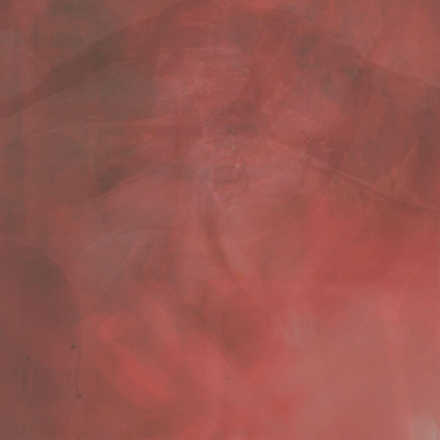 Vinylskiva Speaker Music - Of Desire, Longing (LP)