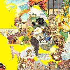 LP deska The Homesick - The Big Exercise (Limited Edition) (LP)