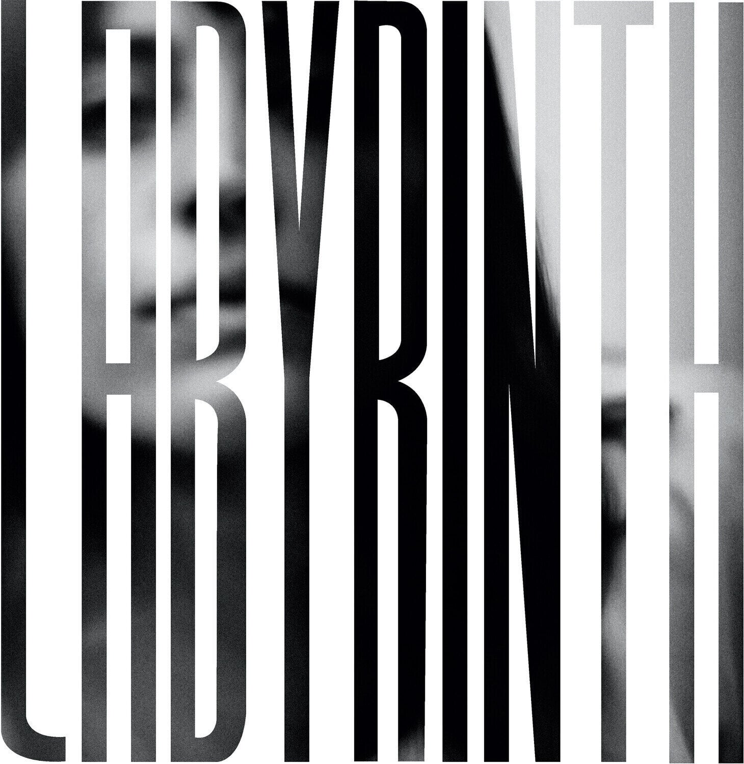 Disque vinyle Heather Woods Broderick - Labyrinth (LP)