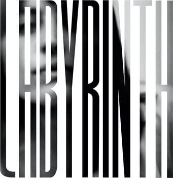 Disque vinyle Heather Woods Broderick - Labyrinth (LP) - 1
