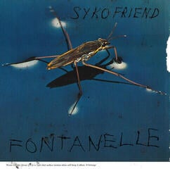 Disco in vinile Syko Friend - Fontanelle (LP)