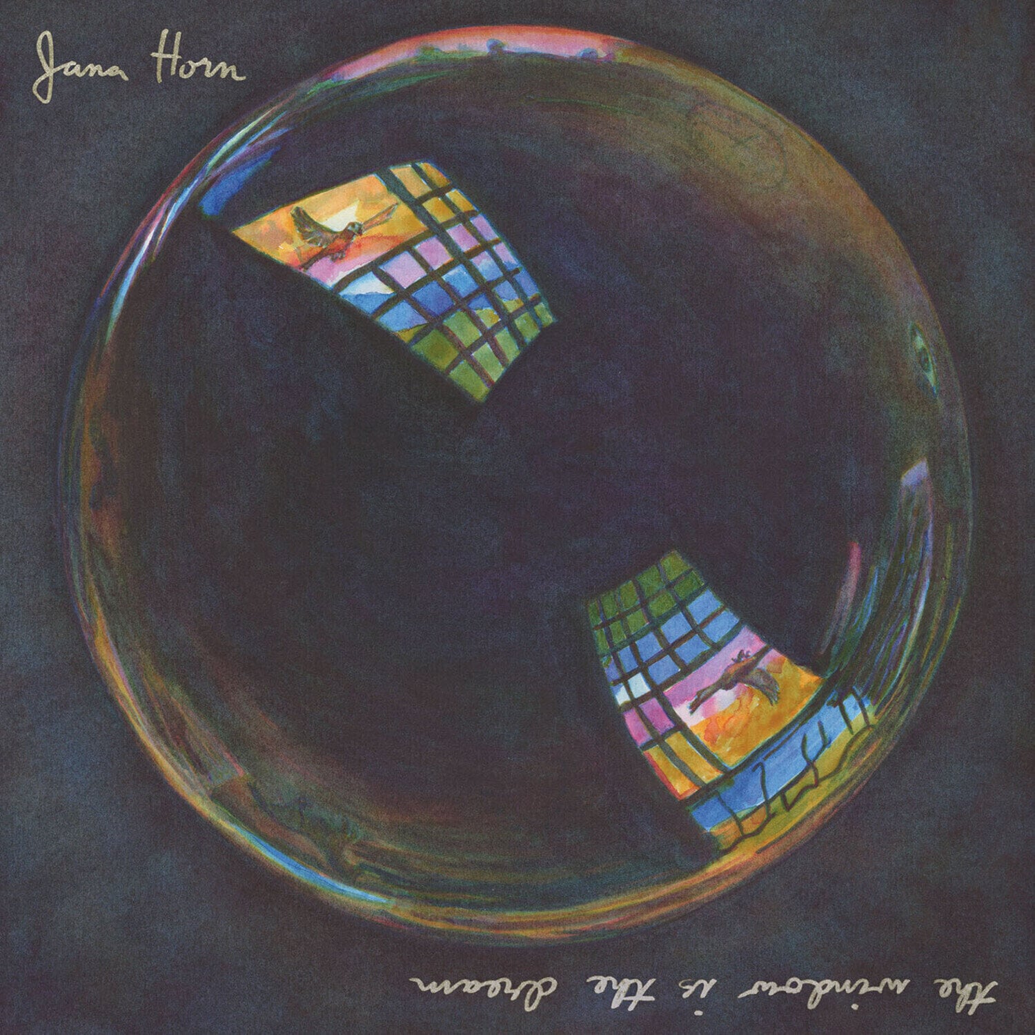 Disque vinyle Jana Horn - The Window Is The Dream (LP)