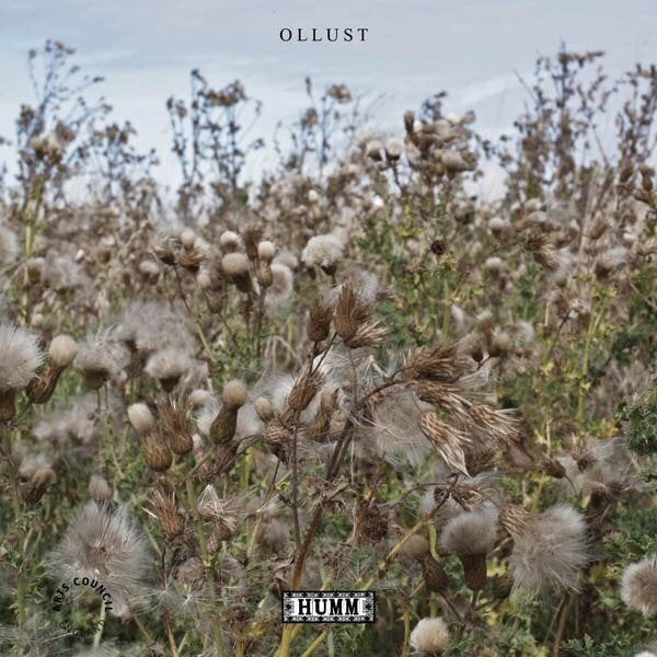 Vinyylilevy Broads & Milly Hirst - Ollust (LP)