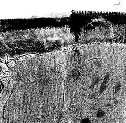 Disc de vinil Sheherazaad - Qasr (Limited Edition) (Red Coloured) (LP)