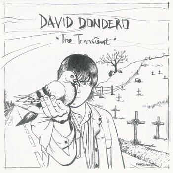 Грамофонна плоча David Dondero - The Transient (LP) - 1