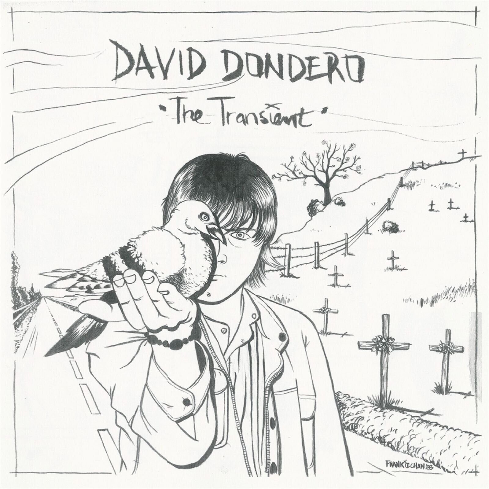 Disco de vinilo David Dondero - The Transient (Limited Edition) (High Quality) (Smoky Coloured) (180 g) (LP)