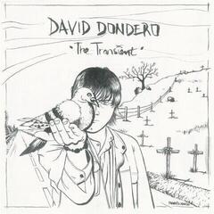 Disco de vinilo David Dondero - The Transient (Limited Edition) (High Quality) (Smoky Coloured) (180 g) (LP)
