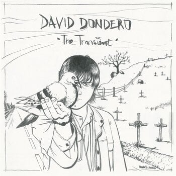 Disco de vinilo David Dondero - The Transient (Limited Edition) (High Quality) (Smoky Coloured) (180 g) (LP) - 1