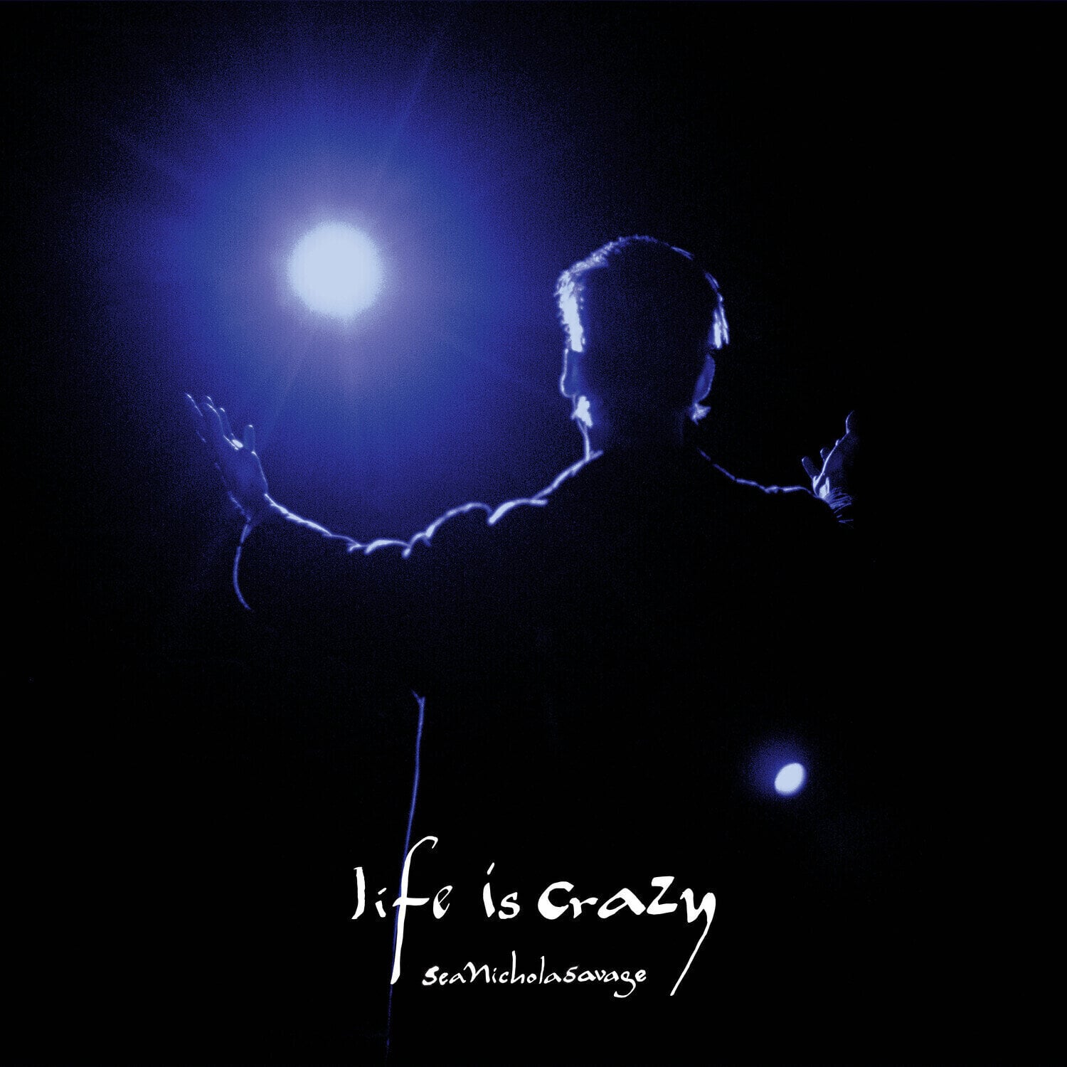 Schallplatte Sean Nicholas Savage - Life Is Crazy (LP)