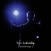 Schallplatte Sean Nicholas Savage - Life Is Crazy (LP)