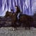 LP deska Holy Motors - Horse (LP)