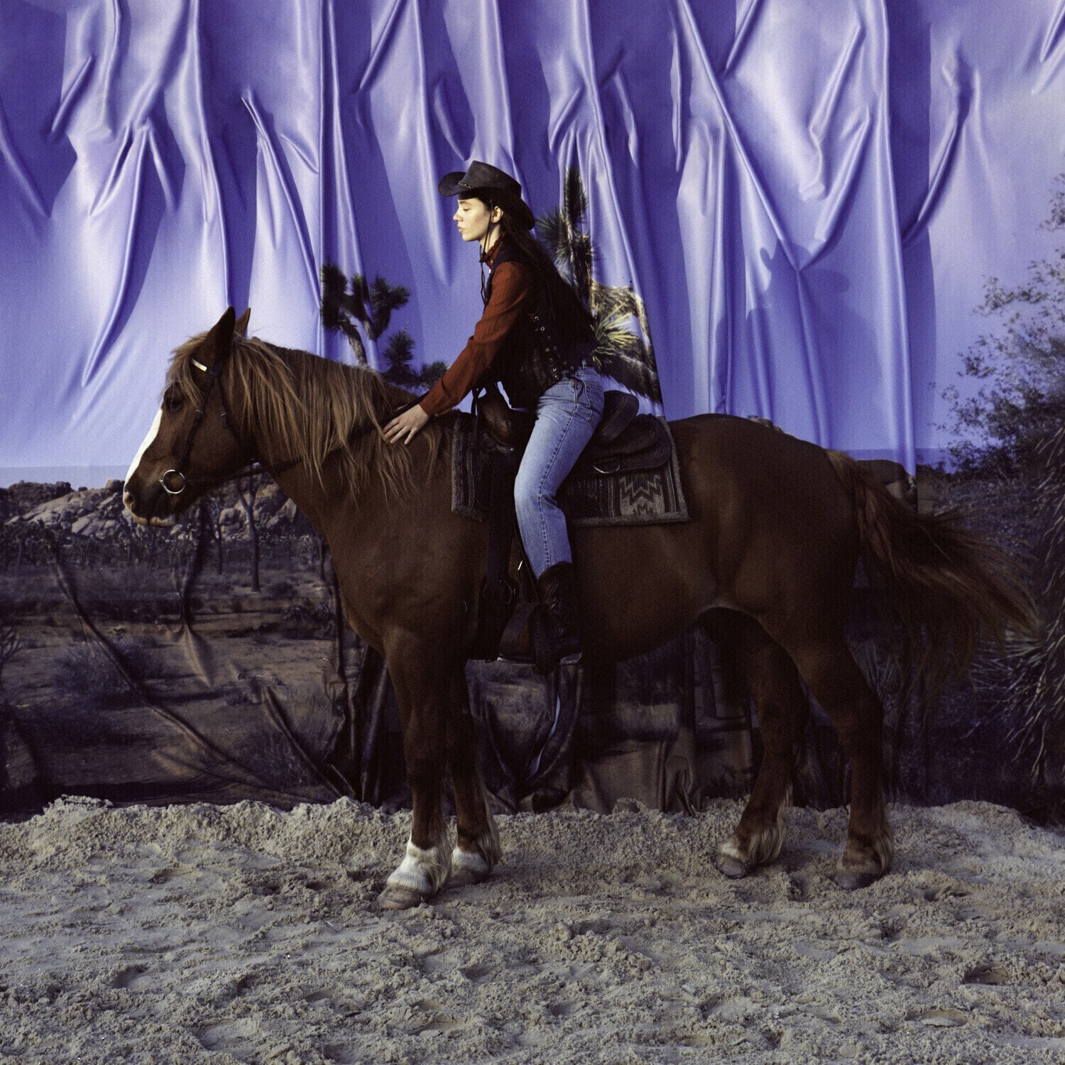 LP deska Holy Motors - Horse (Special Edition) (Gold Metallic Coloured) (LP)
