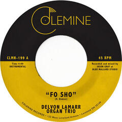LP deska Delvon Lamarr Organ Trio - Fo Sho (LP)