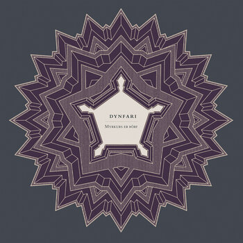 Vinylskiva Dynfari - Myrkurs Er Þörf (Limited Edition) (LP) - 1