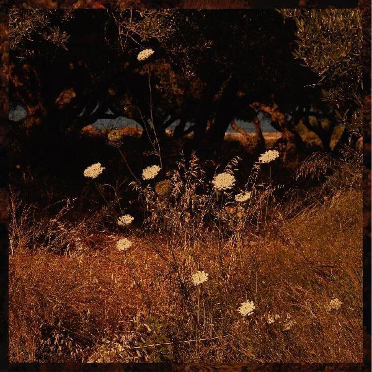 LP ploča Szun Waves - Earth Patterns (Limited Edition) (Red/Brown Smoke Coloured) (LP)