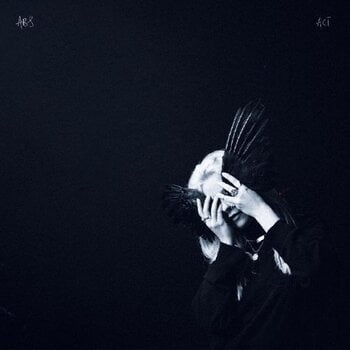 Vinyylilevy Anna B Savage - A Common Turn (Limited Edition) (LP) - 1