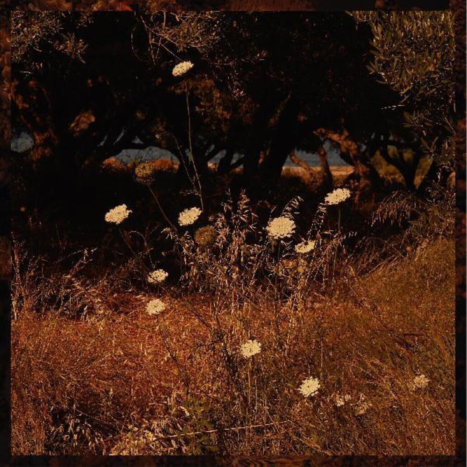 LP ploča Szun Waves - Earth Patterns (LP)