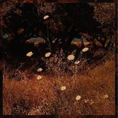 LP ploča Szun Waves - Earth Patterns (LP)
