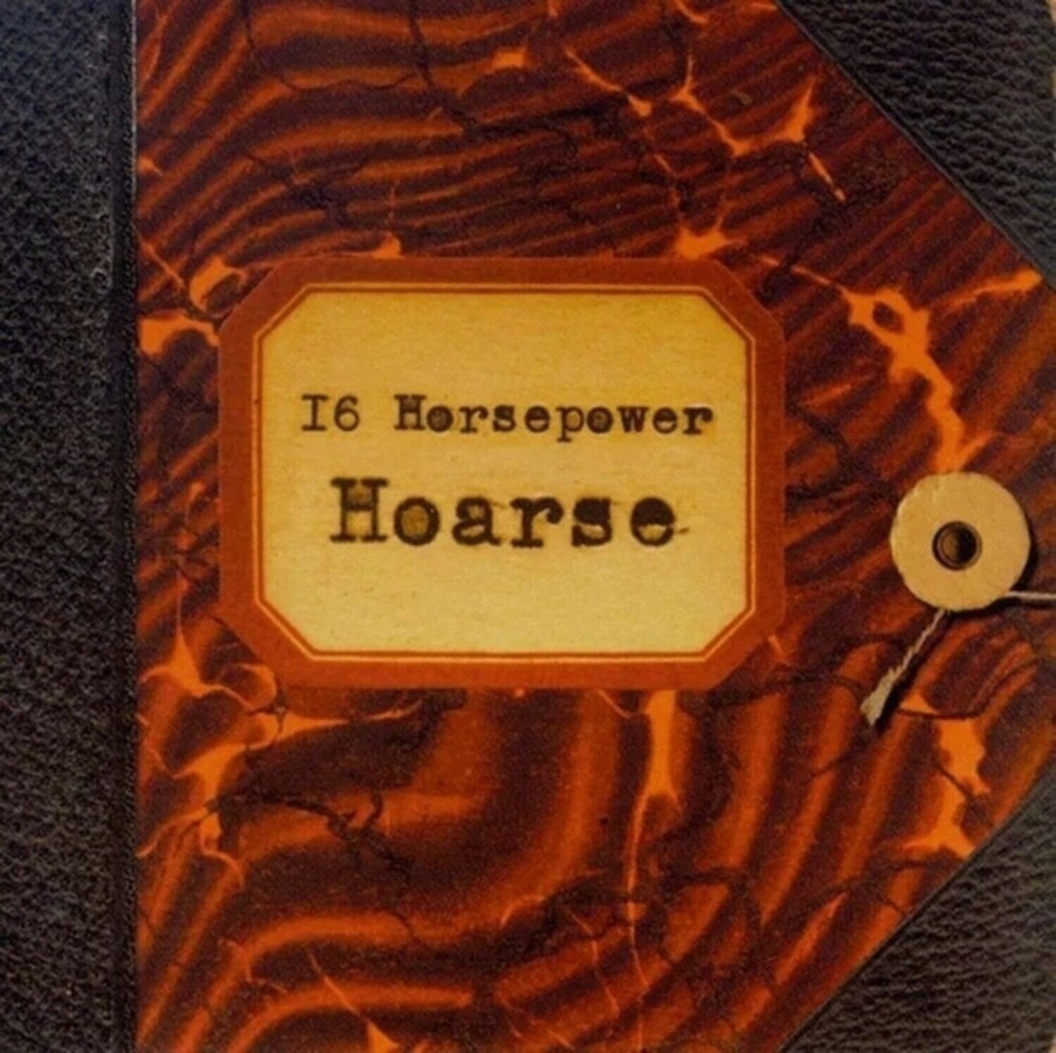 Disco in vinile 16 Horsepower - Hoarse (Reissue) (Limited Edition) (Red Coloured) (2 LP)