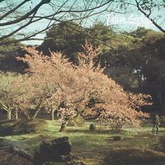 LP ploča Felipe Gordon - Tezeta (2 LP)