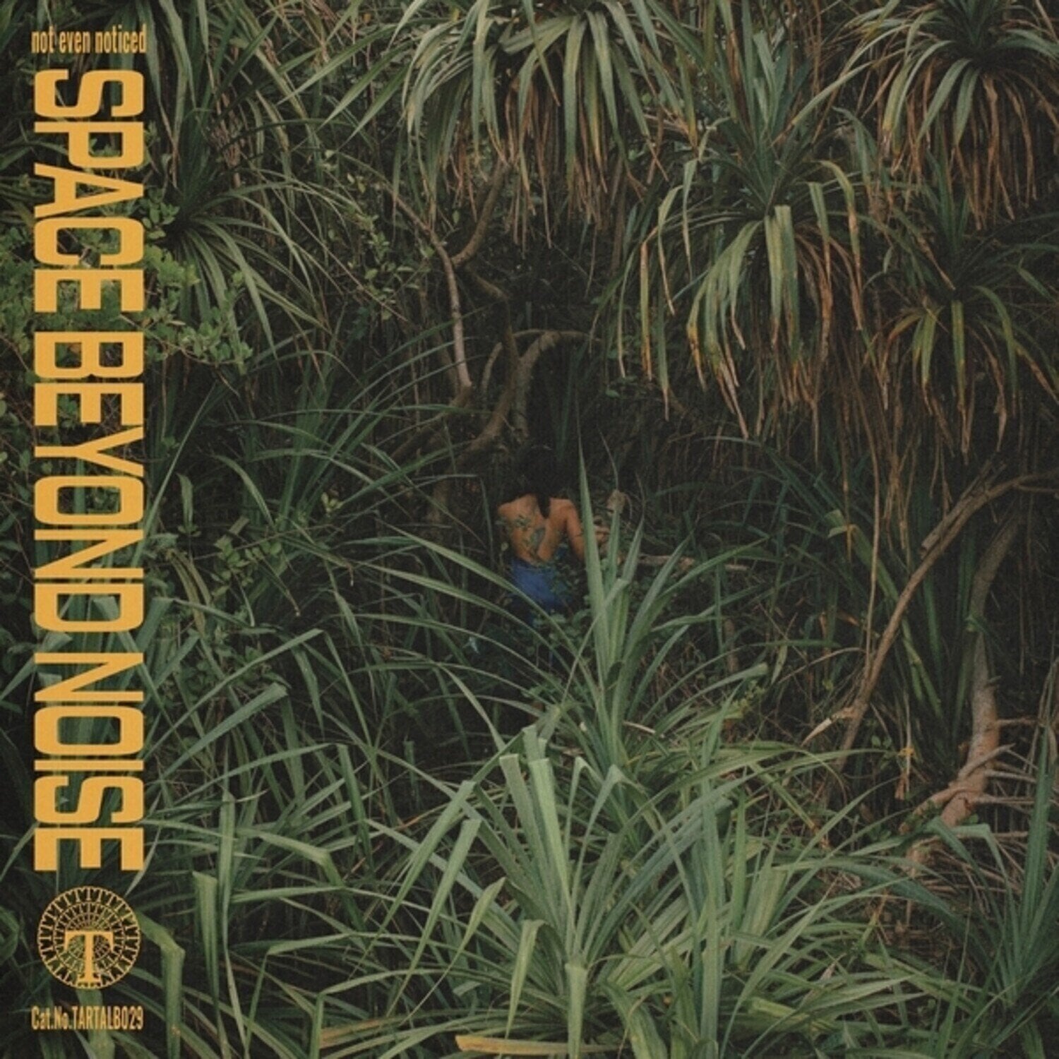 Schallplatte Not Even Noticed - Space Beyond Noise (LP)