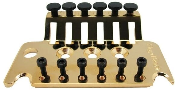 Tremolo Floyd Rose FR1TBPG - 1
