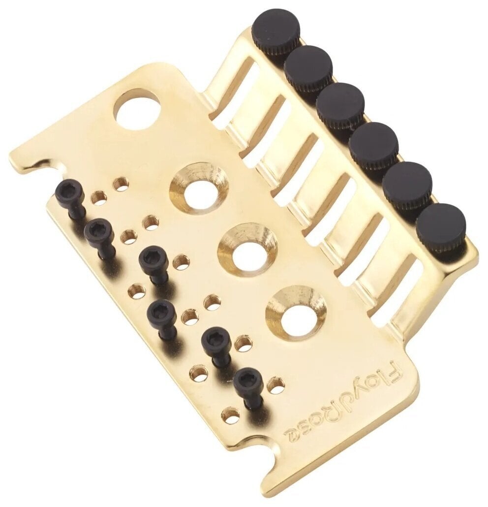 Tremolo Floyd Rose FRS2TBPSG