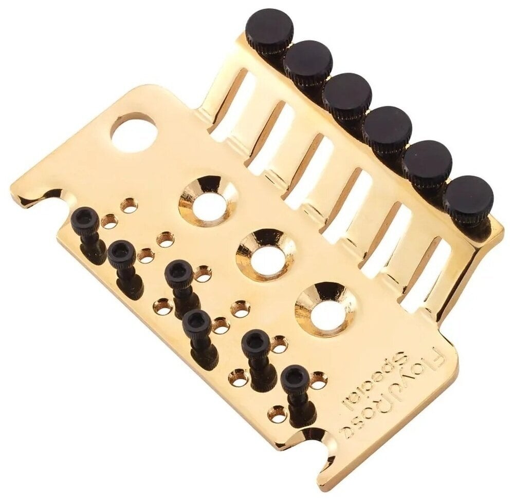 Tremolo Floyd Rose FRS2TBPG
