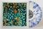Disco in vinile Will Butler + Sister Squares - Will Butler + Sister Squares (Limited Indie Edition) (Natural with Blue Swirl Coloured) (LP)