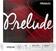 Violin Strings D'Addario J810 4/4H Violin Strings