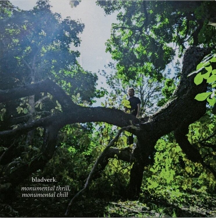 LP deska Bladverk - Monumental Thrill, Monumental Chill (LP)