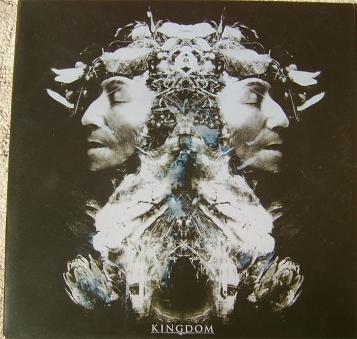 Vinyl Record Kingdom Come - Kingdom Come (LP)