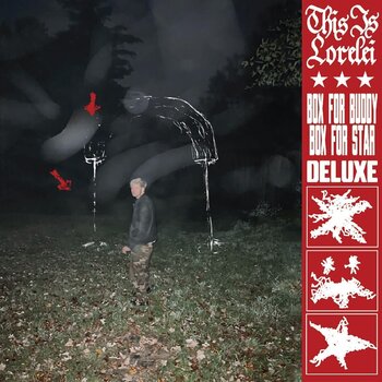 LP ploča This Is Lorelei - Box For Buddy, Box For Star (Deluxe Edition) (Gatefold Sleeve) (Coloured) (2 LP) - 1