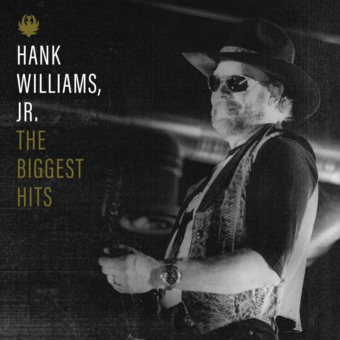 Disque vinyle Hank Williams Jr. - The Biggest Hits Of Hank Williams Jr. (LP)