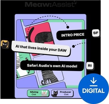 Studio-Effekt-Plugin Safari Audio Meaw : Assist (Digitales Produkt) - 1