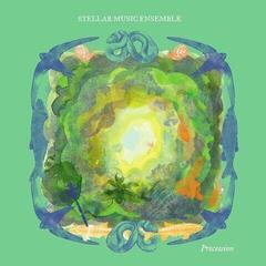 LP ploča Stellar Music Ensemble - Procession (LP)
