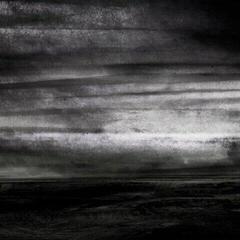 Грамофонна плоча Stray Dogs - Wasteland (LP)