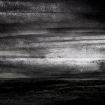 Грамофонна плоча Stray Dogs - Wasteland (LP) - 1