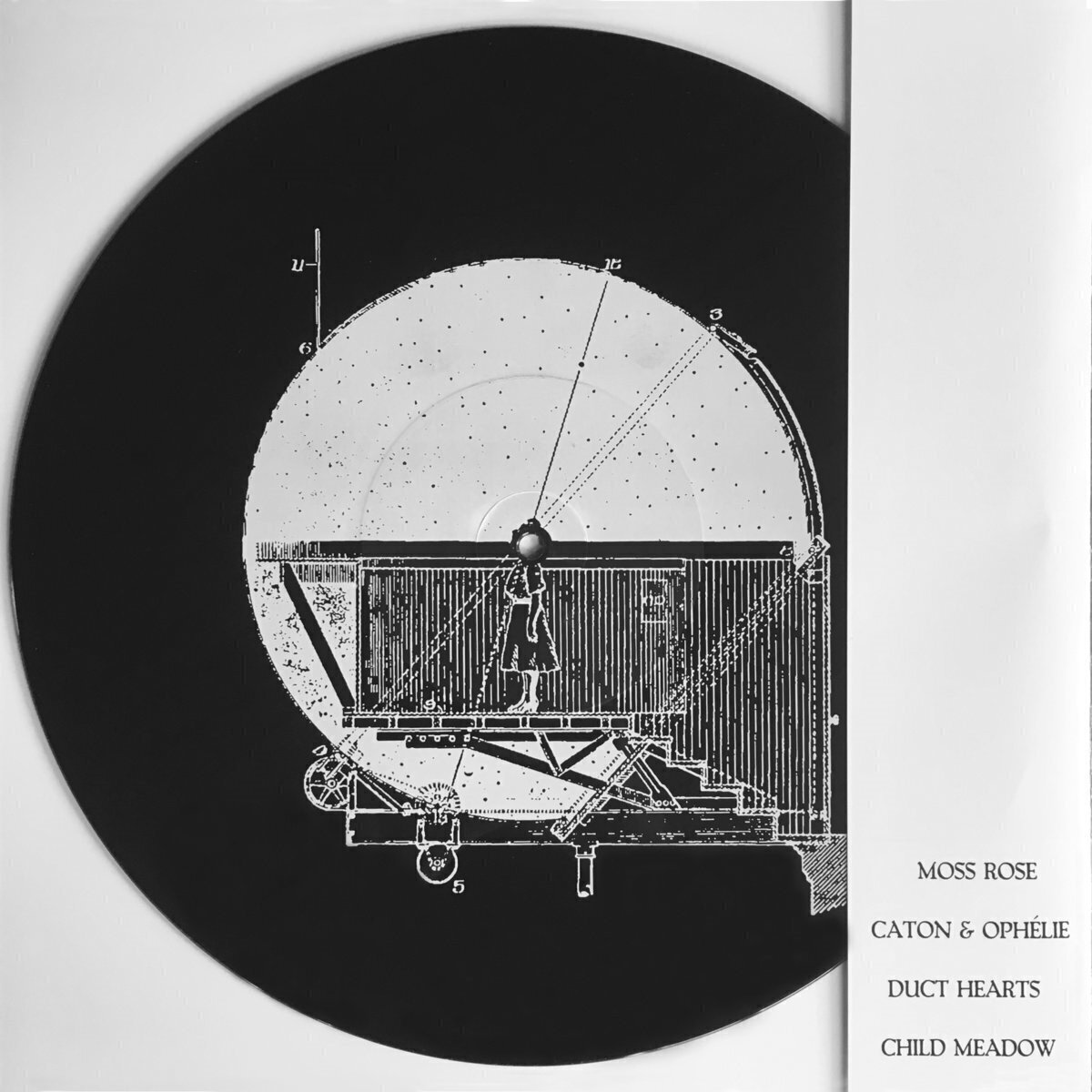 Vinüülplaat Moss Rose & Caton & Ophelie & Duct Hearts & Child Meadow - Split (12" SP)
