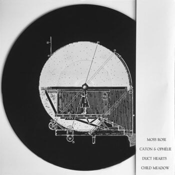 Vinüülplaat Moss Rose & Caton & Ophelie & Duct Hearts & Child Meadow - Split (12" SP) - 1