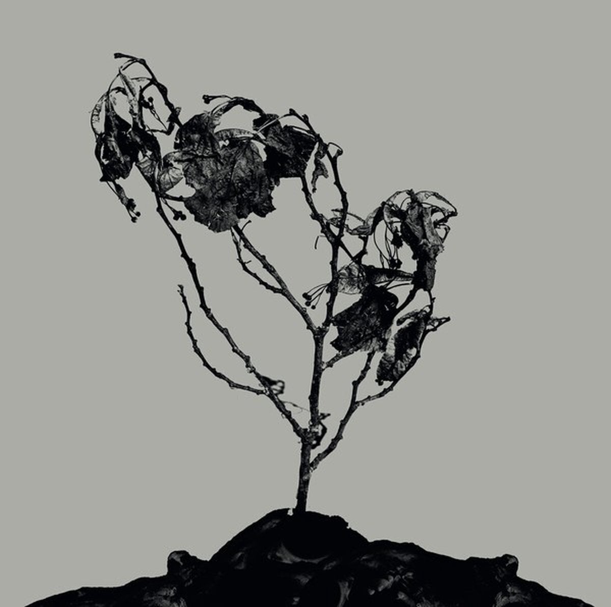 Disque vinyle Innerwoud & Treha Sektori - Split (Limited Edition) (10" LP)