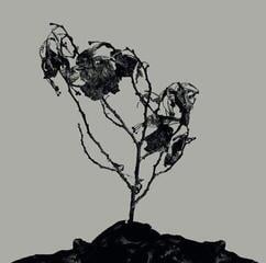 Disque vinyle Innerwoud & Treha Sektori - Split (Limited Edition) (10" LP)